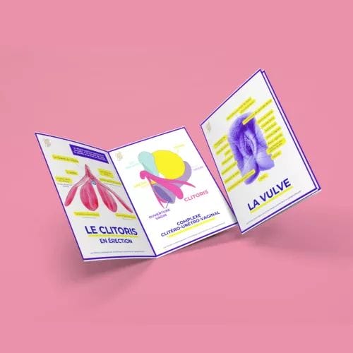 8 Fiches pédagogiques - Anatomie du clitoris, de la vulve et des seins - Gang du clito