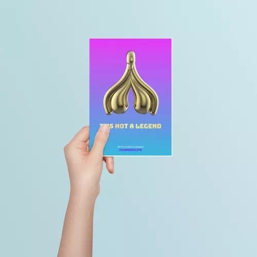 8 Fiches pédagogiques - Anatomie du clitoris, de la vulve et des seins - Gang du clito