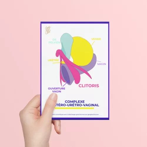 8 Fiches pédagogiques - Anatomie du clitoris, de la vulve et des seins - Gang du clito