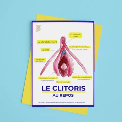 8 Fiches pédagogiques - Anatomie du clitoris, de la vulve et des seins - Gang du clito