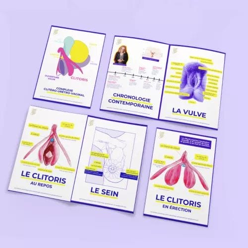 8 Fiches pédagogiques - Anatomie du clitoris, de la vulve et des seins - Gang du clito