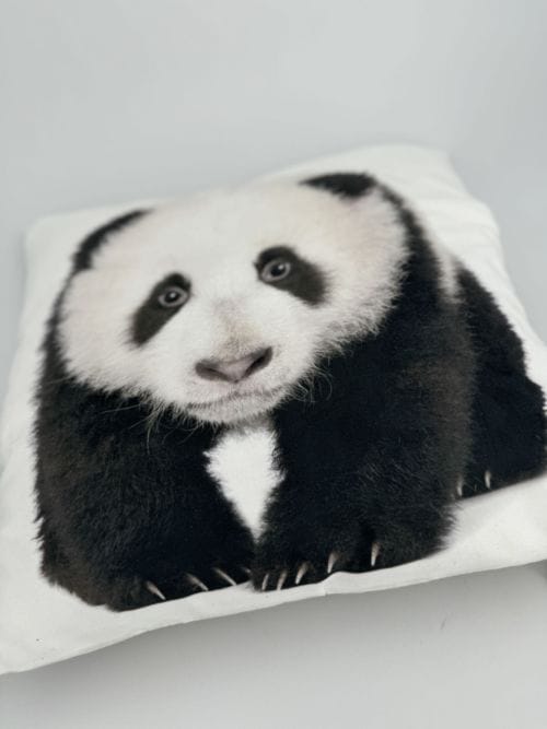 Coussin Panda sur Fond Blanc
