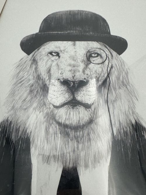 Illustration Sir Lion