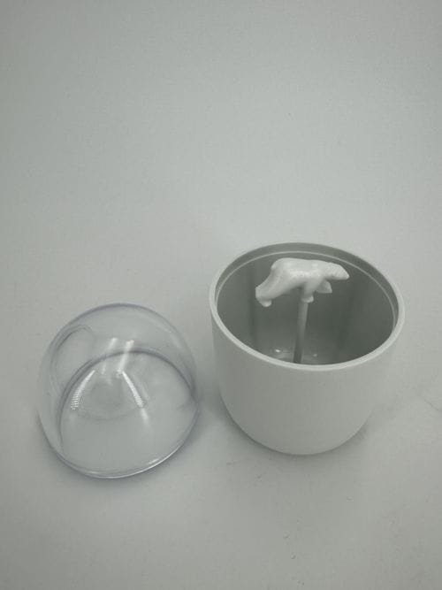 Distributeur Coton Tige - Ours