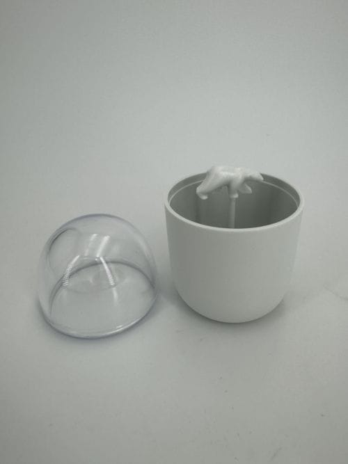 Distributeur Coton Tige - Ours