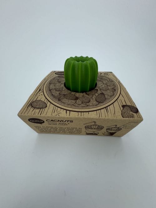 Récipient cactus Blanc et Vert - Qualy