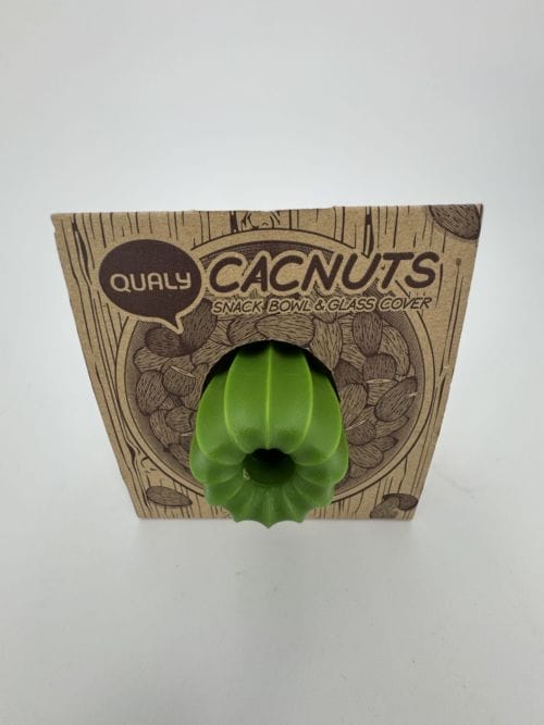 Récipient cactus Blanc et Vert - Qualy