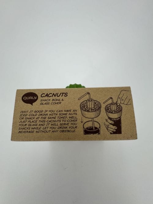 Récipient cactus Blanc et Vert - Qualy