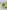 Kit 3 Bizz Bizz – rectangle - Promenade au verger --Ah Table