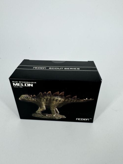 Stégosaure jeune - REBOR baby stegosaurus MELON