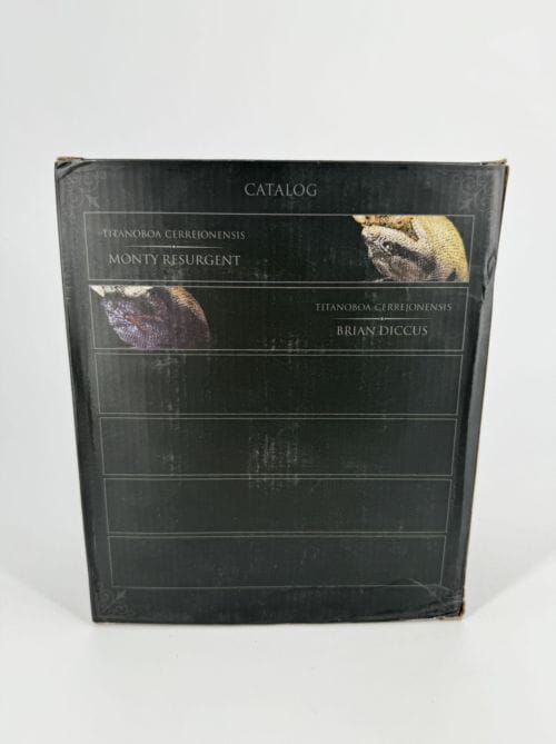 Titanoboa - REBOR - Titanoboa cerrejonensis Museum Class Maquette - Brian Diccus