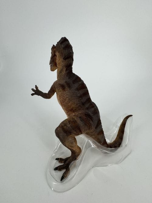 Giganotosaure - GIGANOTOSAURUS - Papo