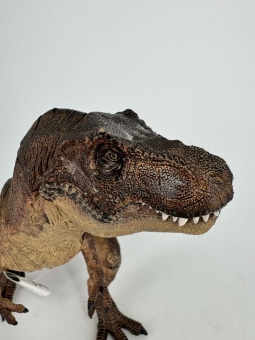 Tyranosaure Rex marron - T-REX BROWN - Papo