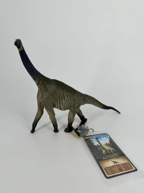 Altasaurus - EOFAUNA