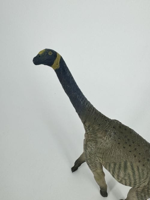 Altasaurus - EOFAUNA