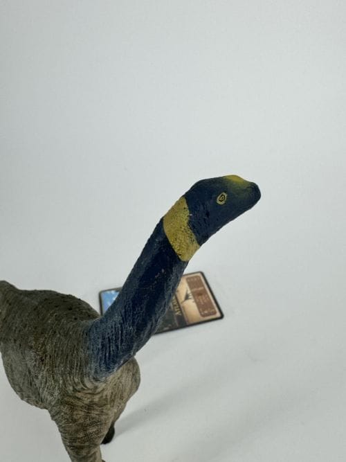 Altasaurus - EOFAUNA