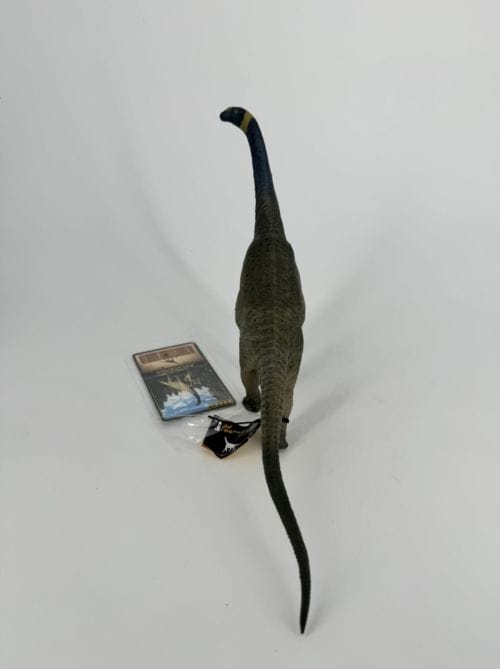 Altasaurus - EOFAUNA