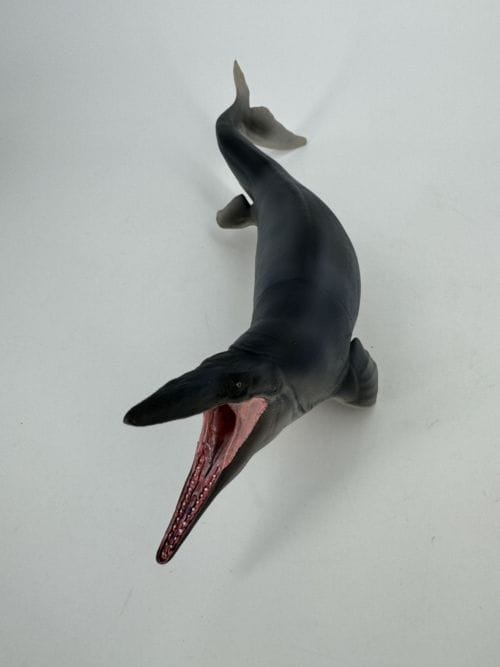 Tylosaurus Evan - PNSO Evan le Tylosaurus