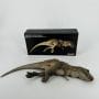 Tyranosaure Rex - REBOR 1:35 Female Tyrannosaurus rex Bite the Dust (Plain)