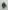 Gorille brun - REBOR 1:11±1 Alpha Male Mountain Gorilla Gorilla Z Primal MARRON