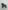Gorille brun - REBOR 1:11±1 Alpha Male Mountain Gorilla Gorilla Z Primal MARRON