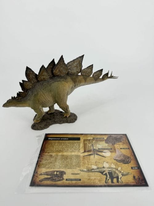 Stegosaure - REBOR STEGOSAURUS AMARTUS GARDEN PLAIN