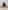Statuette Bois Bouddha Rieur - 13 cm