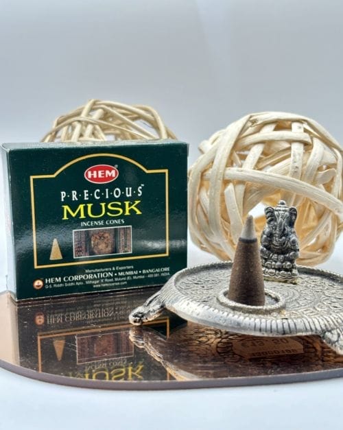 Cône Encens - HEM - Musk