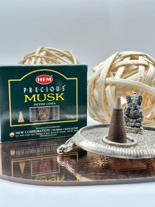 Cône Encens - HEM - Musk