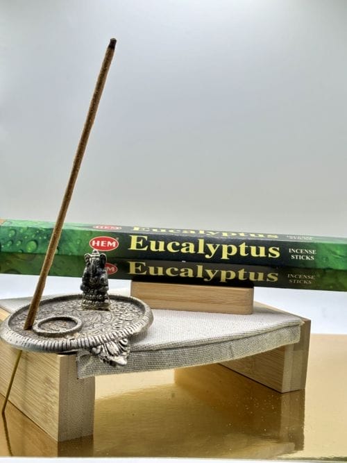 Bâtons d'Encens - HEM - Eucalyptus - 20 sticks