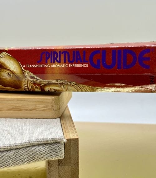Bâtons d'Encens - Padmini - Spiritual Guide - 20 sticks