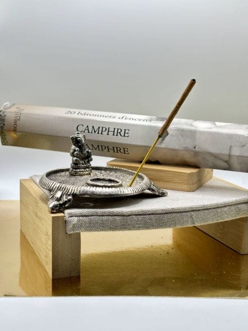 Bâtons d'Encens - Aromatika - 20 sticks - CAMPHRE