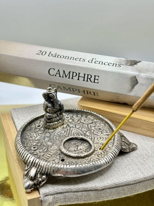 Bâtons d'Encens - Aromatika - 20 sticks - CAMPHRE