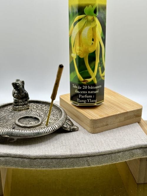 Bâtons d'Encens - Aromatika - 20 sticks - YLANG YLANG