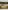 Bâtons d'Encens - Aromatika - PONTIFICAL - 15 grammes