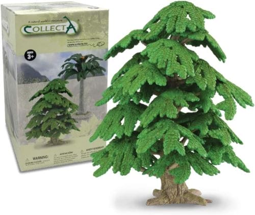 Arbre - Ginkgo Biloba - Collecta