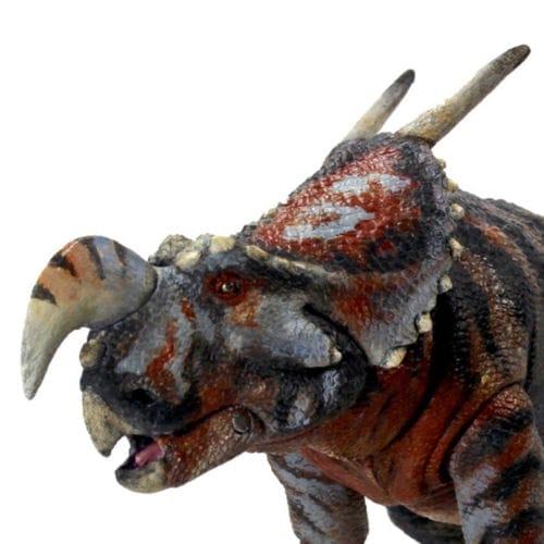 Einiosaurus procurvicornis - Beasts of the Mesozoic