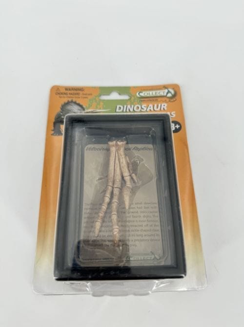 Vélociraptor - Réplique de fossile d'un pied - Collecta Fossils Replicas - Velociraptor foot replica - Collecta