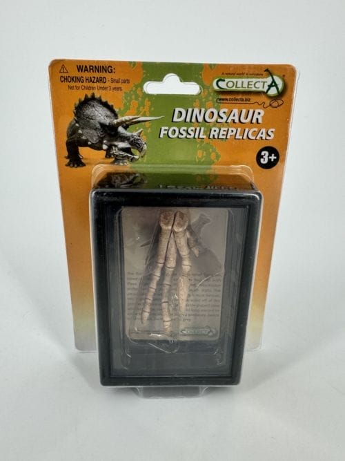 Vélociraptor - Réplique de fossile d'un pied - Collecta Fossils Replicas - Velociraptor foot replica - Collecta