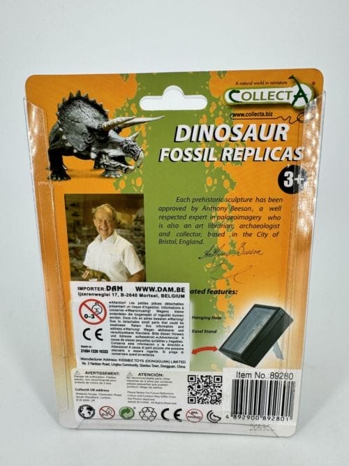 Tyranosaure - Réplique de fossile de griffe d'un orteil - Collecta Fossils Replicas - T-Rex first toe - Collecta