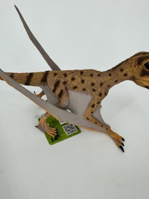 Dimorphodon Deluxe - Collecta