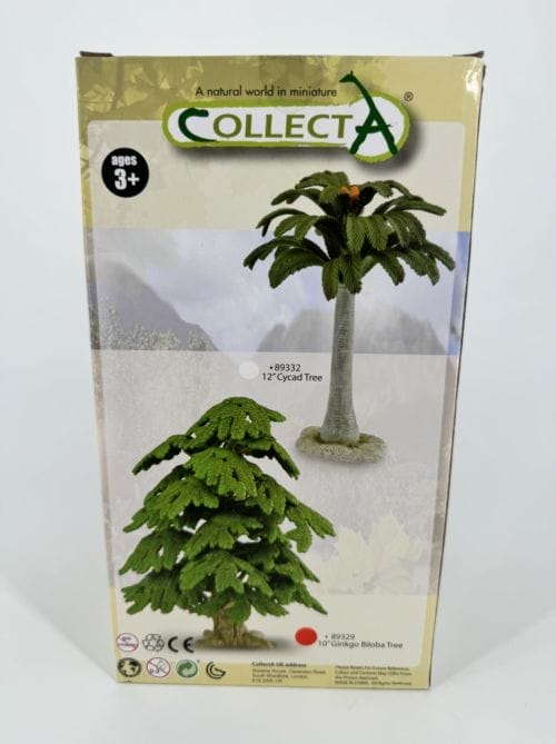 Arbre - Ginkgo Biloba - Collecta