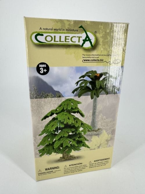 Arbre - Ginkgo Biloba - Collecta