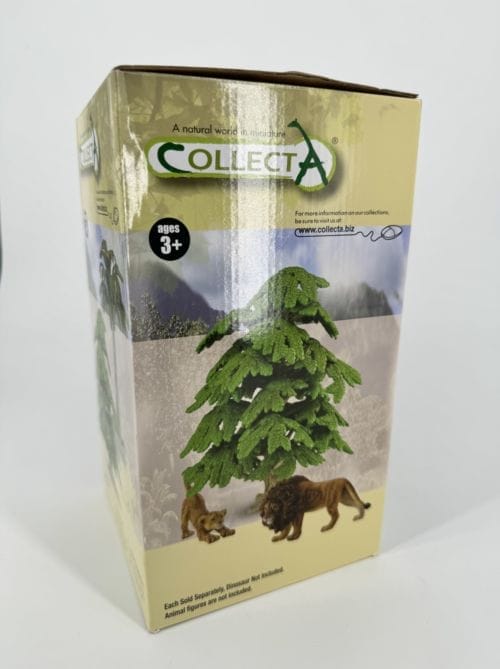 Arbre - Ginkgo Biloba - Collecta