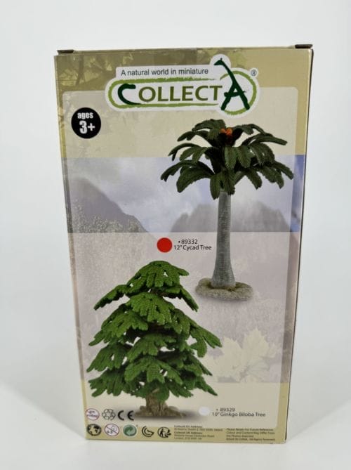 Arbre - Cycad Tree - Collecta