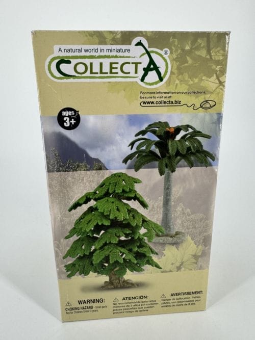 Arbre - Cycad Tree - Collecta