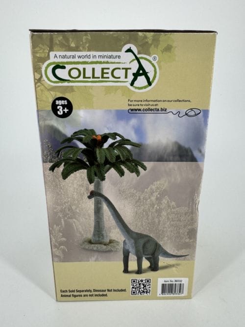 Arbre - Cycad Tree - Collecta