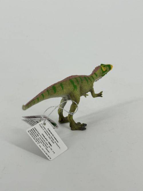 Neovenator - Collecta