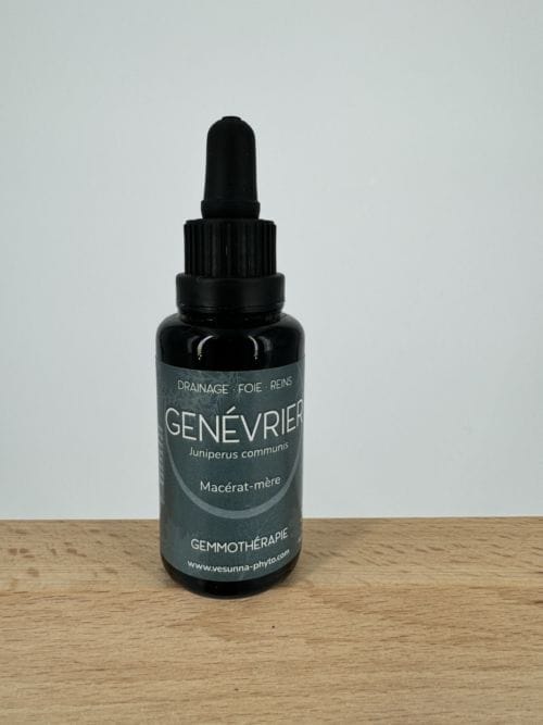 Genévrier - Drainage, Foie, Reins - Gemmothérapie