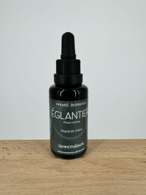 Eglantier - Immunité, Respiration - Gemmothérapie